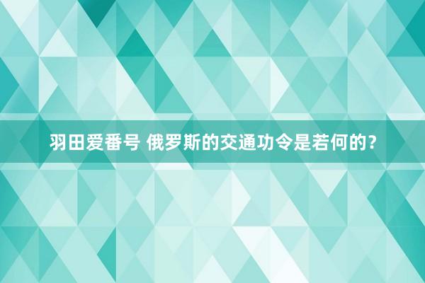 羽田爱番号 俄罗斯的交通功令是若何的？