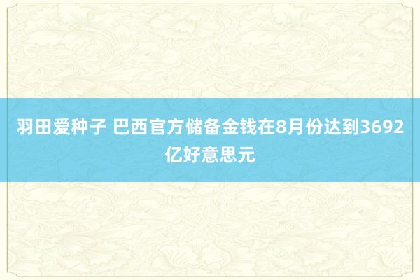 羽田爱种子 巴西官方储备金钱在8月份达到3692亿好意思元