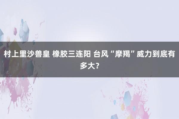 村上里沙兽皇 橡胶三连阳 台风“摩羯”威力到底有多大？