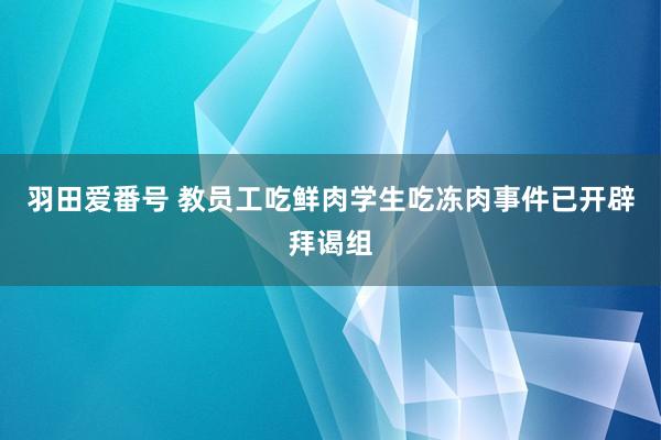 羽田爱番号 教员工吃鲜肉学生吃冻肉事件已开辟拜谒组