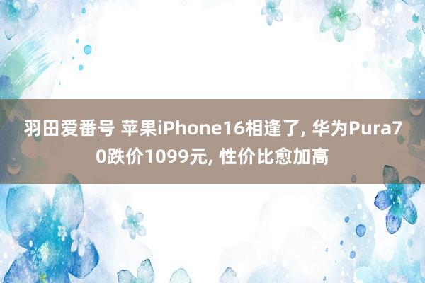 羽田爱番号 苹果iPhone16相逢了， 华为Pura70跌价1099元， 性价比愈加高