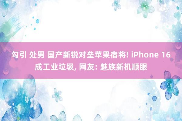 勾引 处男 国产新锐对垒苹果宿将! iPhone 16成工业垃圾， 网友: 魅族新机顺眼