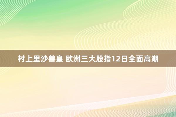 村上里沙兽皇 欧洲三大股指12日全面高潮