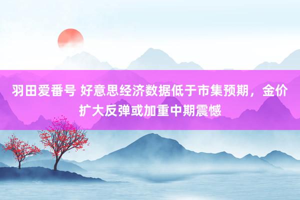 羽田爱番号 好意思经济数据低于市集预期，金价扩大反弹或加重中期震憾