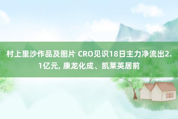 村上里沙作品及图片 CRO见识18日主力净流出2.1亿元， 康龙化成、凯莱英居前