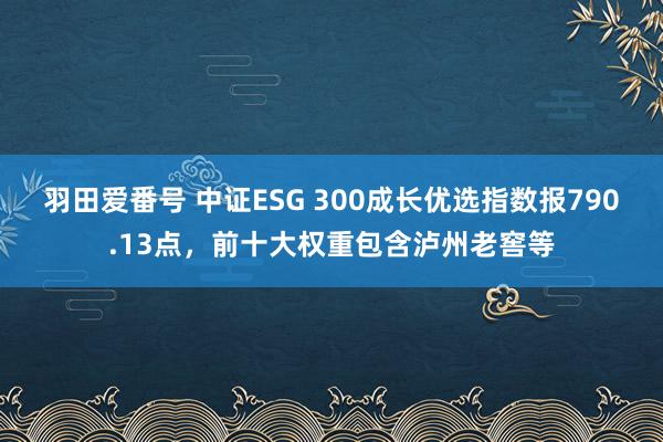 羽田爱番号 中证ESG 300成长优选指数报790.13点，前十大权重包含泸州老窖等