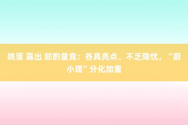 跳蛋 露出 懿酌量竟：各具亮点、不乏隐忧，“蔚小理”分化加重