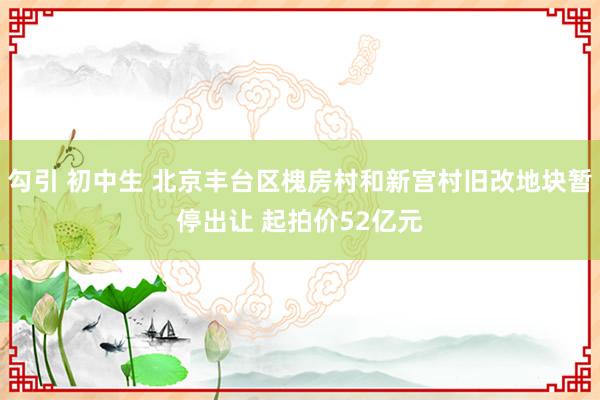 勾引 初中生 北京丰台区槐房村和新宫村旧改地块暂停出让 起拍价52亿元