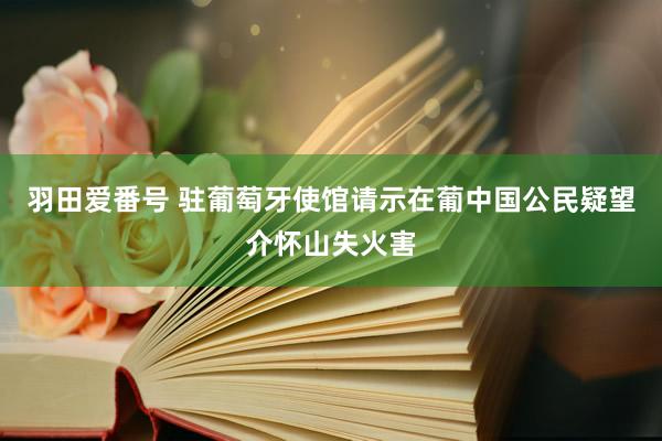 羽田爱番号 驻葡萄牙使馆请示在葡中国公民疑望介怀山失火害