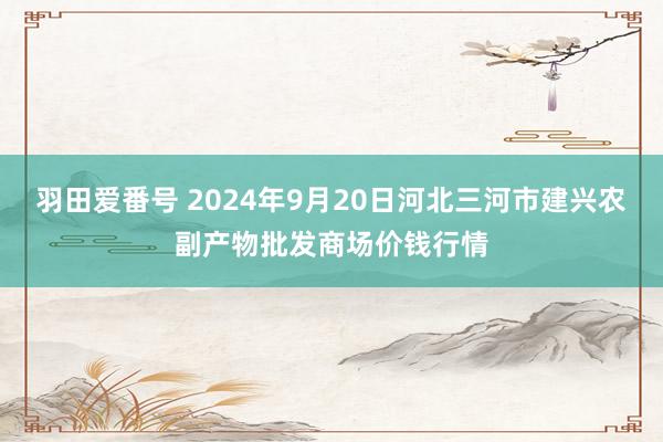 羽田爱番号 2024年9月20日河北三河市建兴农副产物批发商场价钱行情