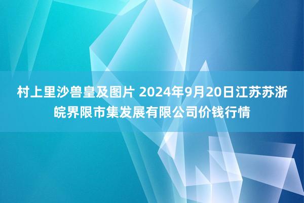 村上里沙兽皇及图片 2024年9月20日江苏苏浙皖界限市集发展有限公司价钱行情