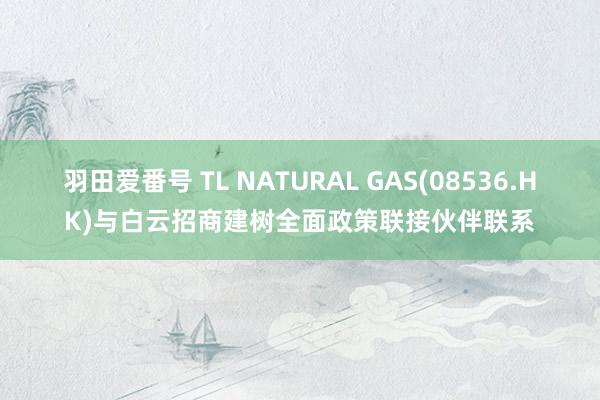 羽田爱番号 TL NATURAL GAS(08536.HK)与白云招商建树全面政策联接伙伴联系