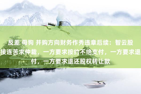 反差 母狗 并购方向财务作秀违章后续：智云股份与方位国资接连苦求仲裁，一方要求按约不绝支付，一方要求退还股权转让款