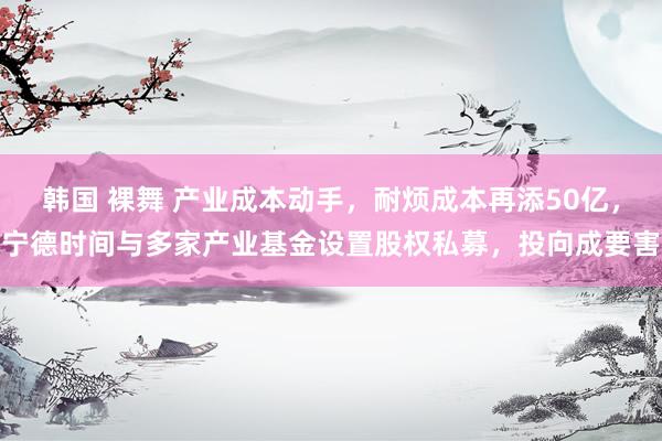 韩国 裸舞 产业成本动手，耐烦成本再添50亿，宁德时间与多家产业基金设置股权私募，投向成要害