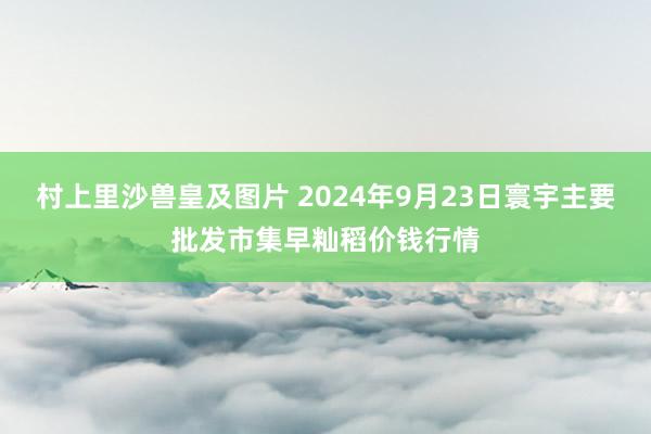 村上里沙兽皇及图片 2024年9月23日寰宇主要批发市集早籼稻价钱行情