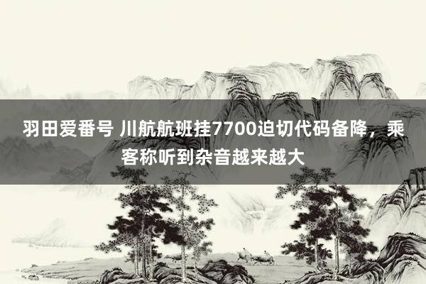 羽田爱番号 川航航班挂7700迫切代码备降，乘客称听到杂音越来越大