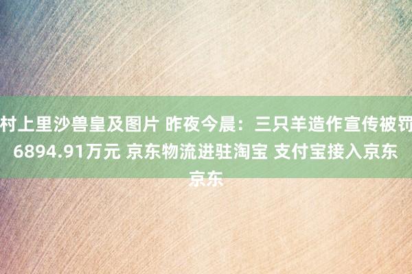 村上里沙兽皇及图片 昨夜今晨：三只羊造作宣传被罚6894.91万元 京东物流进驻淘宝 支付宝接入京东