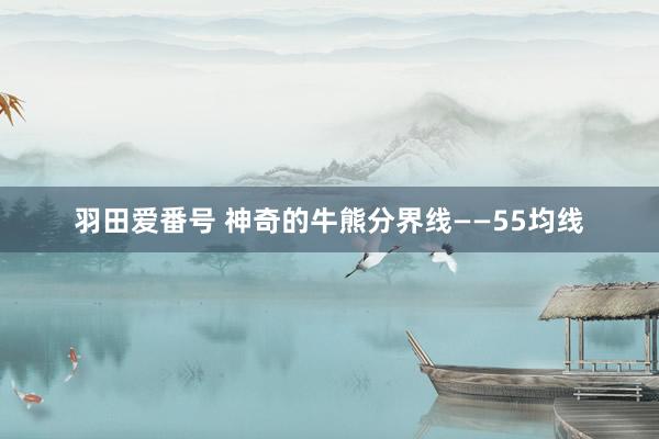 羽田爱番号 神奇的牛熊分界线——55均线