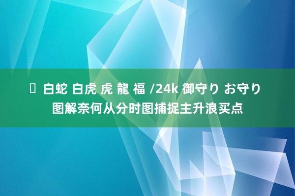 ✨白蛇 白虎 虎 龍 福 /24k 御守り お守り 图解奈何从分时图捕捉主升浪买点