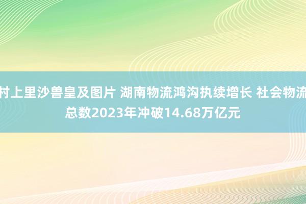 村上里沙兽皇及图片 湖南物流鸿沟执续增长 社会物流总数2023年冲破14.68万亿元