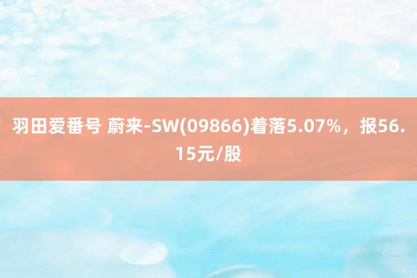 羽田爱番号 蔚来-SW(09866)着落5.07%，报56.15元/股