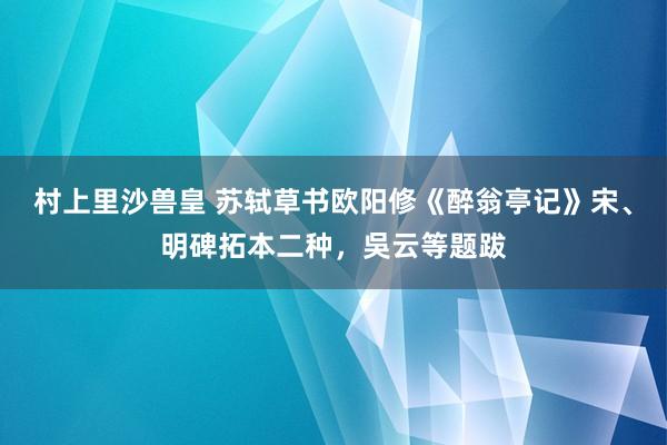 村上里沙兽皇 苏轼草书欧阳修《醉翁亭记》宋、明碑拓本二种，吳云等题跋