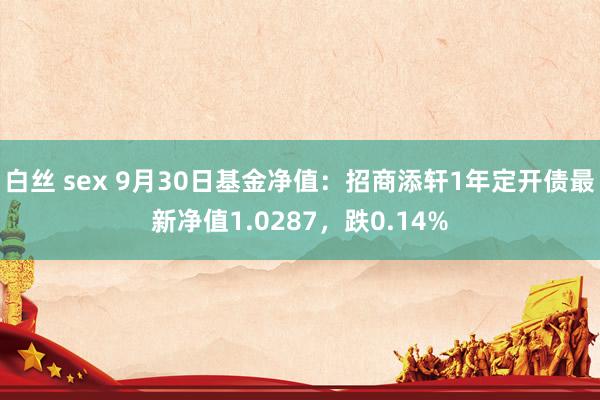 白丝 sex 9月30日基金净值：招商添轩1年定开债最新净值1.0287，跌0.14%