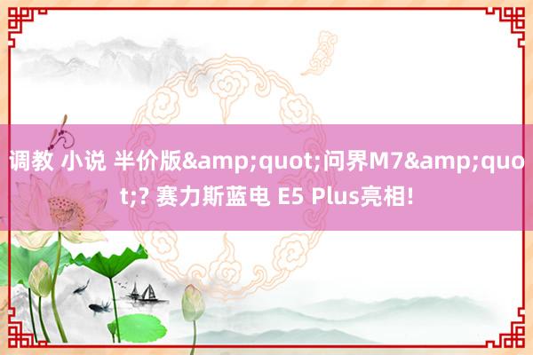 调教 小说 半价版&quot;问界M7&quot;? 赛力斯蓝电 E5 Plus亮相!