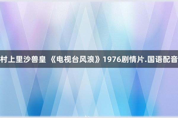 村上里沙兽皇 《电视台风浪》1976剧情片.国语配音