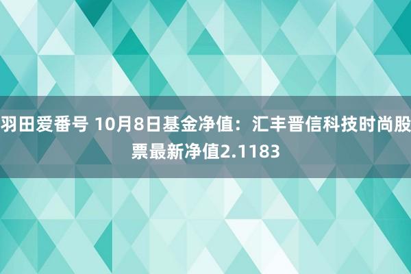 羽田爱番号 10月8日基金净值：汇丰晋信科技时尚股票最新净值2.1183