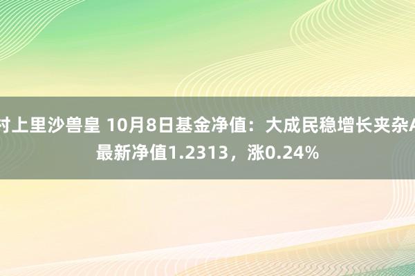 村上里沙兽皇 10月8日基金净值：大成民稳增长夹杂A最新净值1.2313，涨0.24%