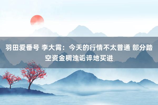 羽田爱番号 李大霄：今天的行情不太普通 部分踏空资金稠浊诟谇地买进