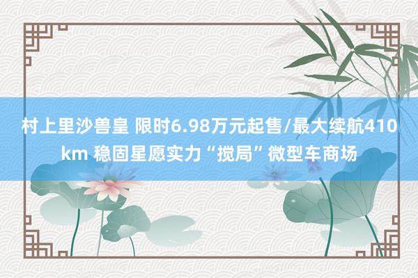 村上里沙兽皇 限时6.98万元起售/最大续航410km 稳固星愿实力“搅局”微型车商场