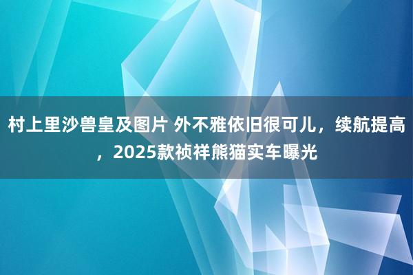 村上里沙兽皇及图片 外不雅依旧很可儿，续航提高，2025款祯祥熊猫实车曝光