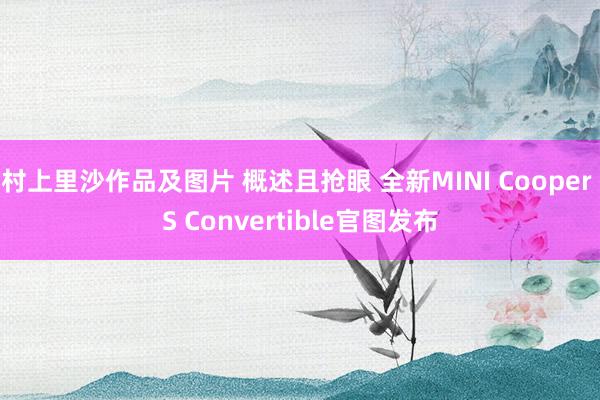 村上里沙作品及图片 概述且抢眼 全新MINI Cooper S Convertible官图发布