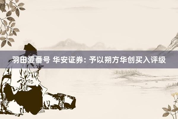 羽田爱番号 华安证券: 予以朔方华创买入评级