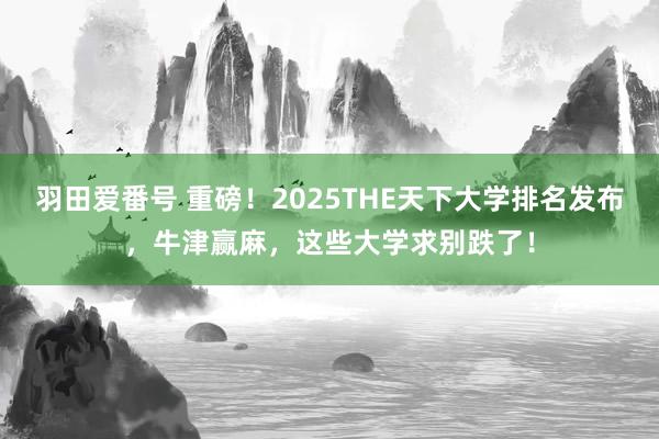 羽田爱番号 重磅！2025THE天下大学排名发布，牛津赢麻，这些大学求别跌了！