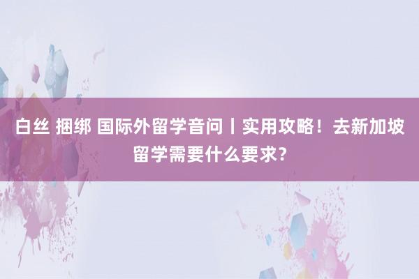 白丝 捆绑 国际外留学音问丨实用攻略！去新加坡留学需要什么要求？