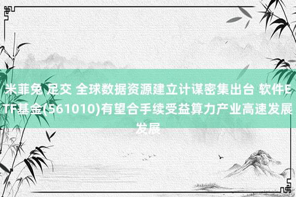 米菲兔 足交 全球数据资源建立计谋密集出台 软件ETF基金(561010)有望合手续受益算力产业高速发展