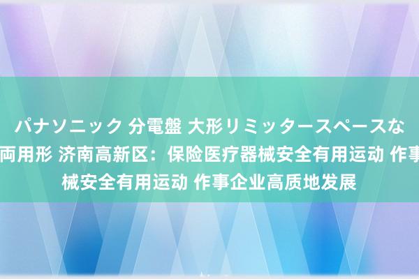 パナソニック 分電盤 大形リミッタースペースなし 露出・半埋込両用形 济南高新区：保险医疗器械安全有用运动 作事企业高质地发展