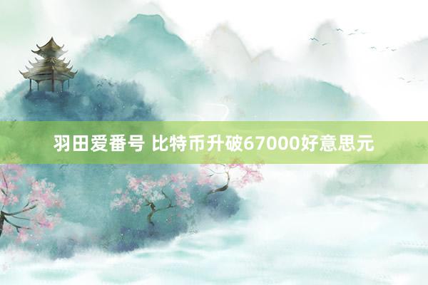 羽田爱番号 比特币升破67000好意思元