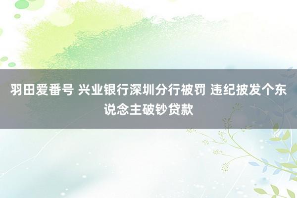 羽田爱番号 兴业银行深圳分行被罚 违纪披发个东说念主破钞贷款