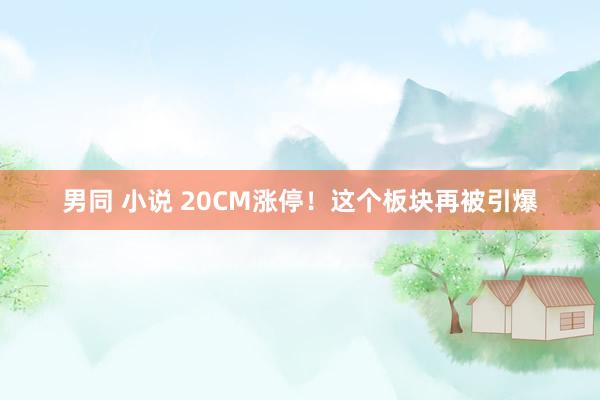 男同 小说 20CM涨停！这个板块再被引爆