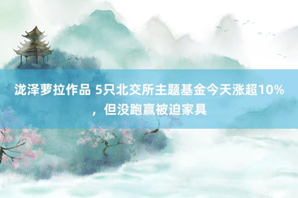 泷泽萝拉作品 5只北交所主题基金今天涨超10%，但没跑赢被迫家具