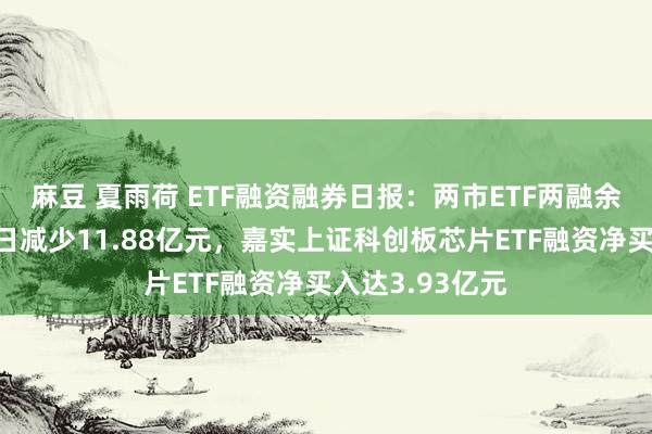 麻豆 夏雨荷 ETF融资融券日报：两市ETF两融余额较前一往翌日减少11.88亿元，嘉实上证科创板芯片ETF融资净买入达3.93亿元