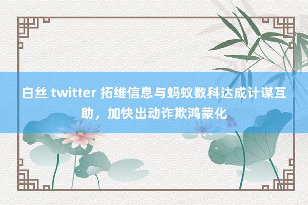 白丝 twitter 拓维信息与蚂蚁数科达成计谋互助，加快出动诈欺鸿蒙化