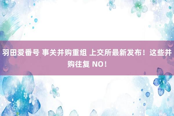 羽田爱番号 事关并购重组 上交所最新发布！这些并购往复 NO！