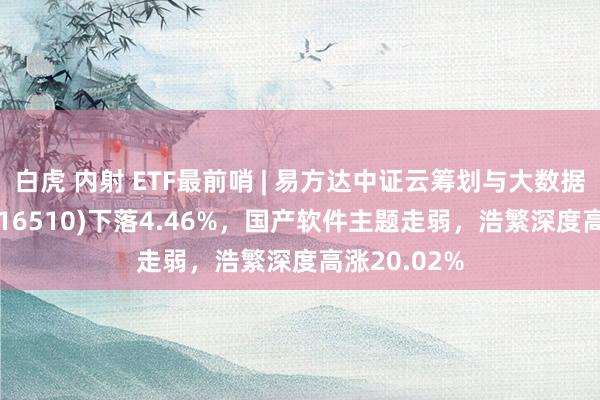 白虎 内射 ETF最前哨 | 易方达中证云筹划与大数据主题ETF(516510)下落4.46%，国产软件主题走弱，浩繁深度高涨20.02%