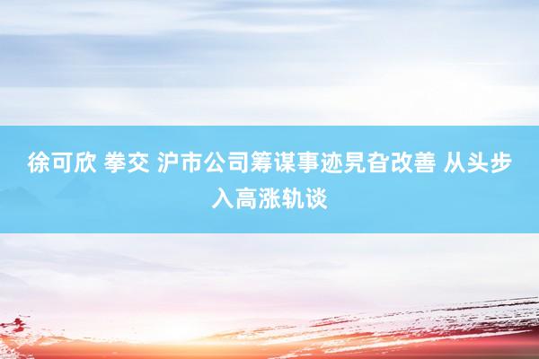 徐可欣 拳交 沪市公司筹谋事迹旯旮改善 从头步入高涨轨谈