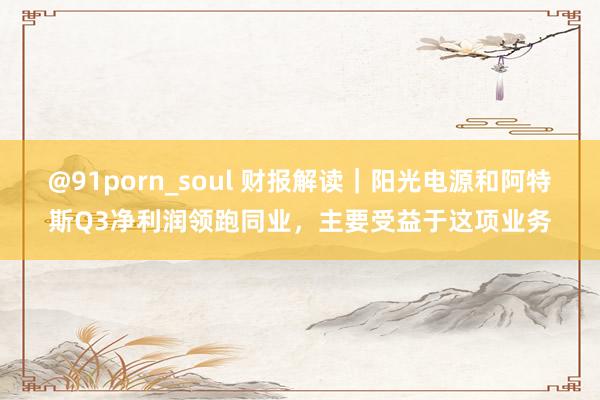 @91porn_soul 财报解读｜阳光电源和阿特斯Q3净利润领跑同业，主要受益于这项业务